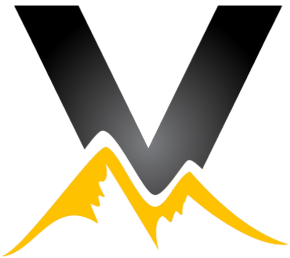 Team Vertex